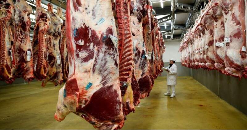 Informes ROSGAN y CICCRA