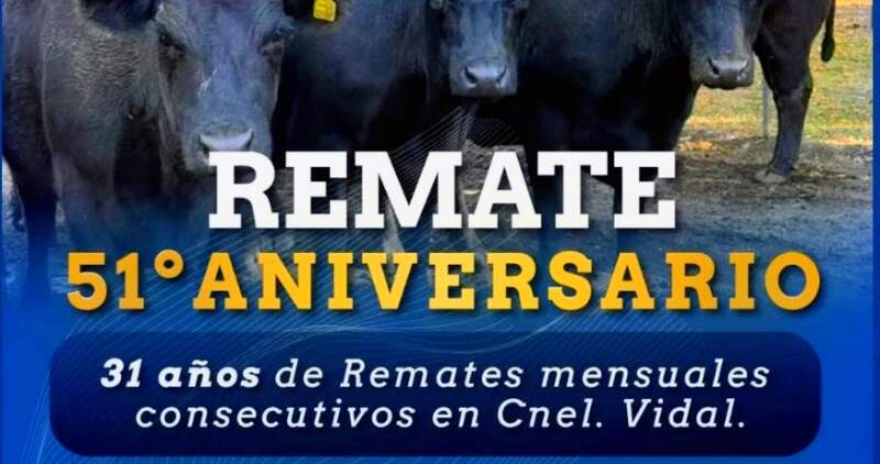 Gordo, invernada y cría