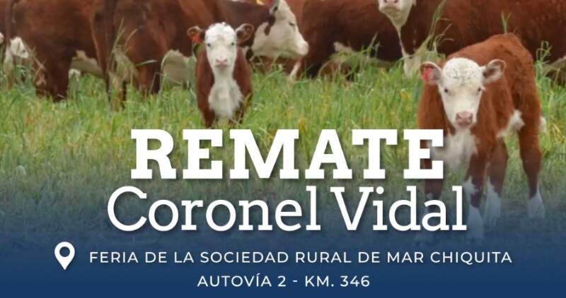 Gordo, invernada y cría