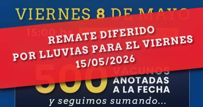 Gordo, invernada y cría