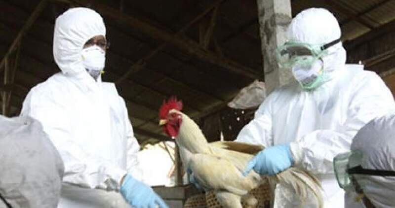 Alerta sanitaria regional