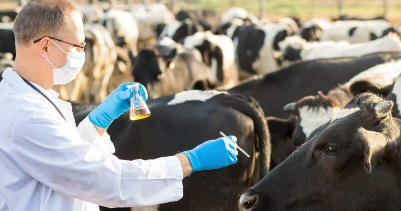 La amortización acelerada busca mejorar la productividad ganadera