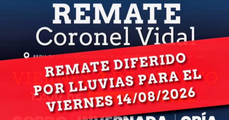 Gordo, invernada y cría