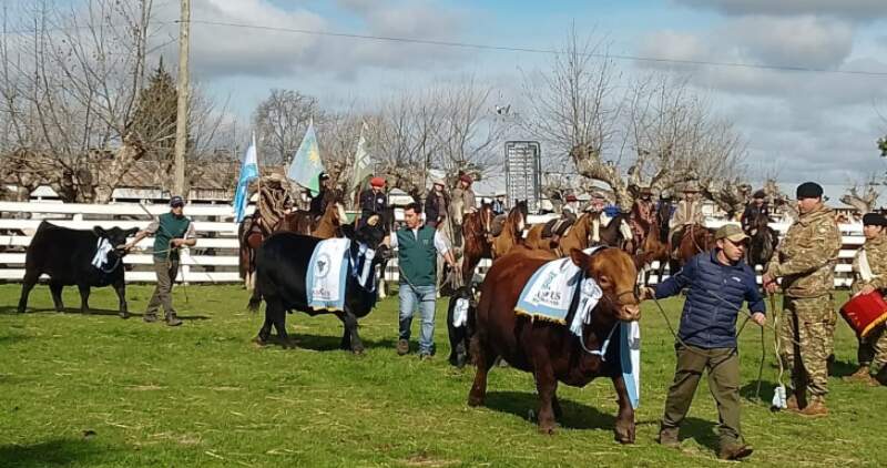 Expo Rural de Junín