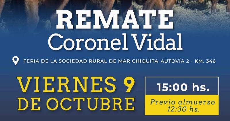 Gordo, invernada y cría