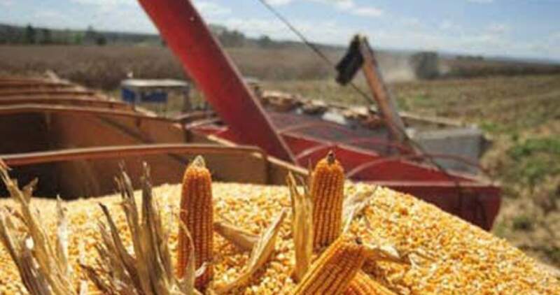 Informe BCBA