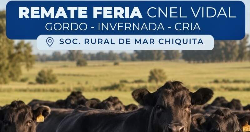 Gordo, invernada y cría