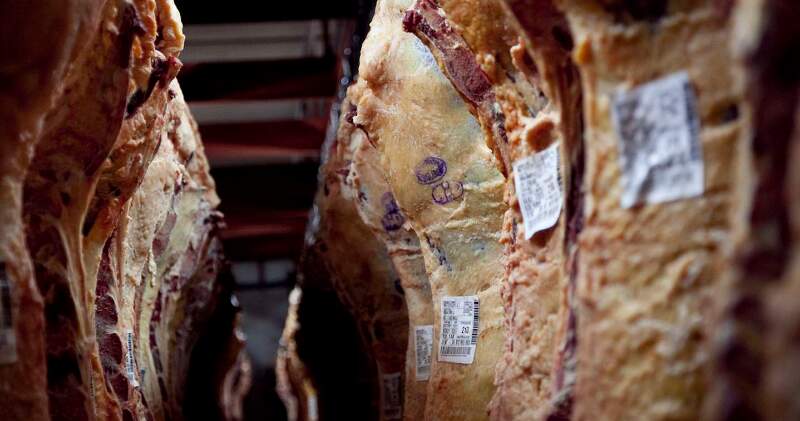 Critican “la reinstauración de los ROE en las exportaciones de carne, un sistema nefasto que fracasó entre 2006 y 2015 y vuelve bajo el relato oficial de control de la evasión"