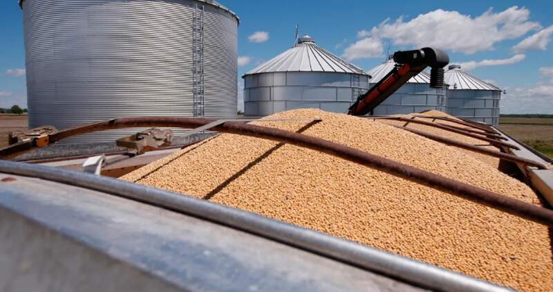 El complejo oleaginoso-cerealero aportó el año pasado el 48% del total de las exportaciones de la Argentina