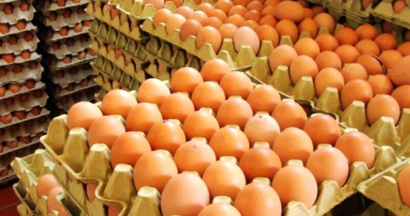 Principal problema es la falta de financiamiento para potenciar exportaciones y lograr la apertura de los mercados en India y China