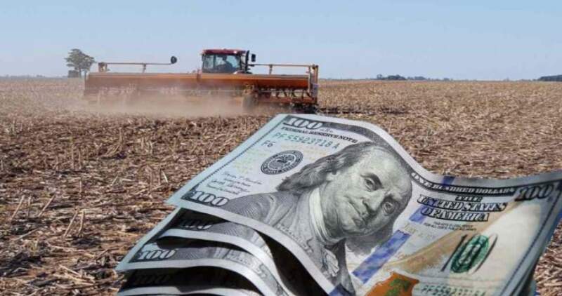 El ingreso de divisas acumulado de la agroexportación en los primeros diez meses del año alcanzó los US$28.086 millones