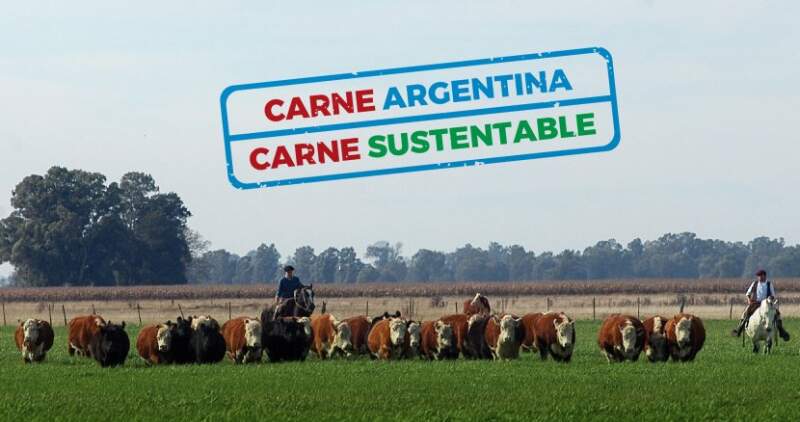 Avances en la generación de conocimiento científico argentino para su potencial aplicación práctica en sistemas ganaderos comerciales