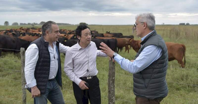 El director general de la FAO, QU Dongyu, visitó una estancia de ganadería regenerativa de la localidad bonaerense de Pipinas