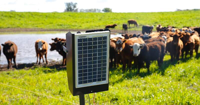 Los boyeros solares están equipados con un pequeño panel solar dotados de una potencia de 10Kwp que permiten electrificar los alambrados para mantener confinado al ganado