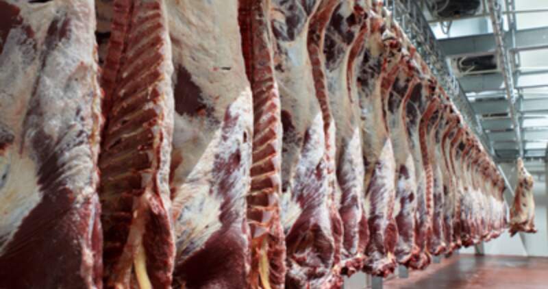 De acuerdo a estadísticas privadas, el consumo total de carnes se encuentra sobre los 115 kilos anuales por habitante, cifra que no ha registrado variaciones en los últimos años