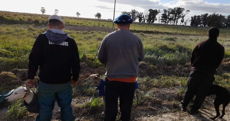 Operativos del CPR en todo el distrito