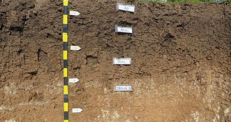 El Instituto de Suelos pone a disposición información de suelos a escala 1:50.000