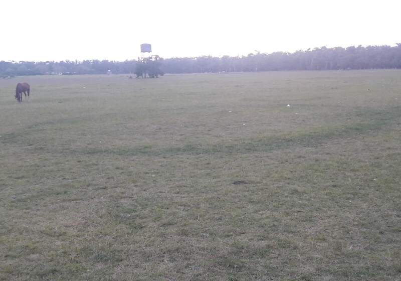 Este fenómeno a aparecido a lo largo de la historia humana y se lo conoce bajo el nombre de “anillo de las hadas” o "anillo de las brujas”