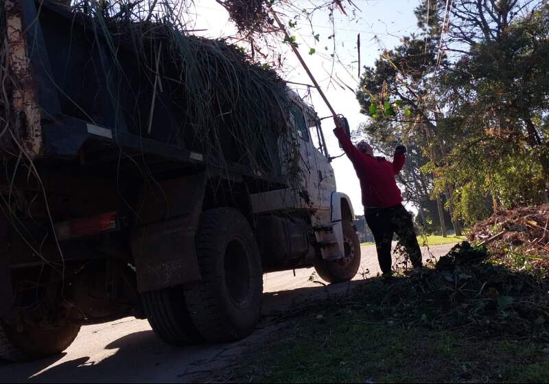 Se trató del retiro de montículos de podas domiciliarias en toda la extensión de varias calles.