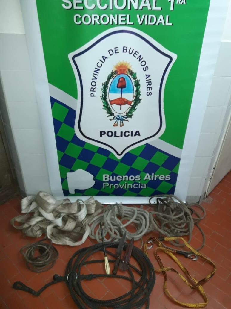 EL CHANCHO, LA CHANCHA Y LOS 20 DETENIDOS: UNA ESCENA DE PELÍCULA SE VIVIÓ EN CORONEL VIDAL QUE TERMINÓ CON CAUSAS POR ROBO