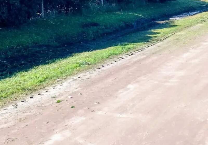 Se realizaron tareas de limpieza, reparación vial y renovación de luminarias, informó la dependencia a cargo de Matías Jara.