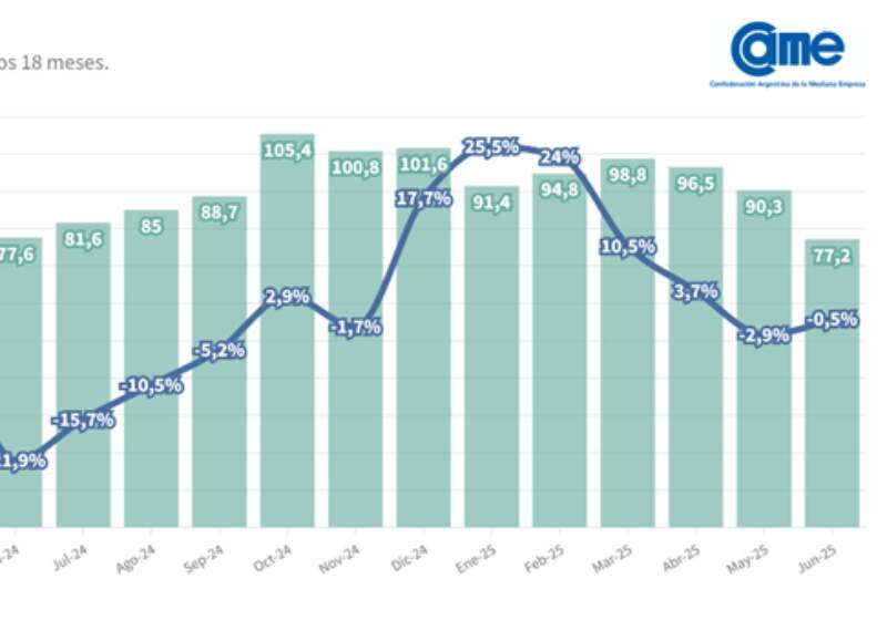 Además, desde la Cámara Argentina de la Mediana Empresa, indicaron que "en la comparación con el mes anterior también se verificó un descenso del 6,7%". 