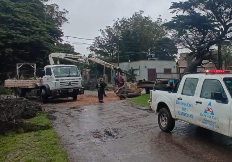 Las acciones incluyeron retiro de árboles caídos y asistencia por voladuras de techos. Solicitaron precaución al transitar.