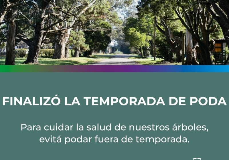  De mayo a agosto se permitió intervenir ejemplares en reposo. Fuera de temporada, la poda puede dañar el arbolado urbano.