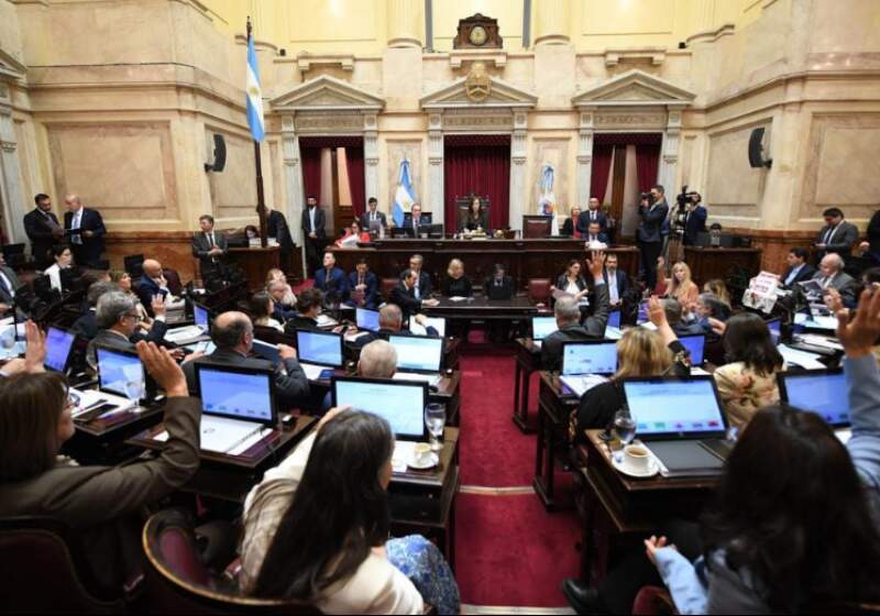 El Senado rechazó los vetos a los proyectos de emergencia en pediatría y financiamiento universitario