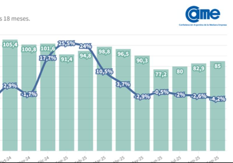 Según CAME, el consumo interno mostró señales de fragilidad y todos los rubros registraron caídas, salvo Perfumería que repuntó levemente.