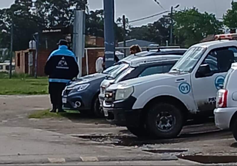  El operativo comenzó este miércoles en la costa de Mar Chiquita. Una cámara de seguridad registró al animal en zona urbana.