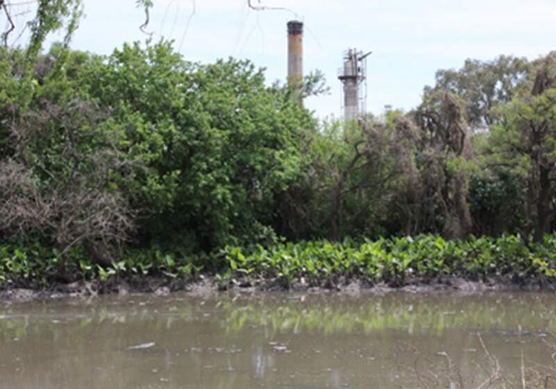 "Por la buena legislación que tenemos se puede interpretar que nuestra sociedad está involucrada en lo ambiental y es un tema que le interesa".