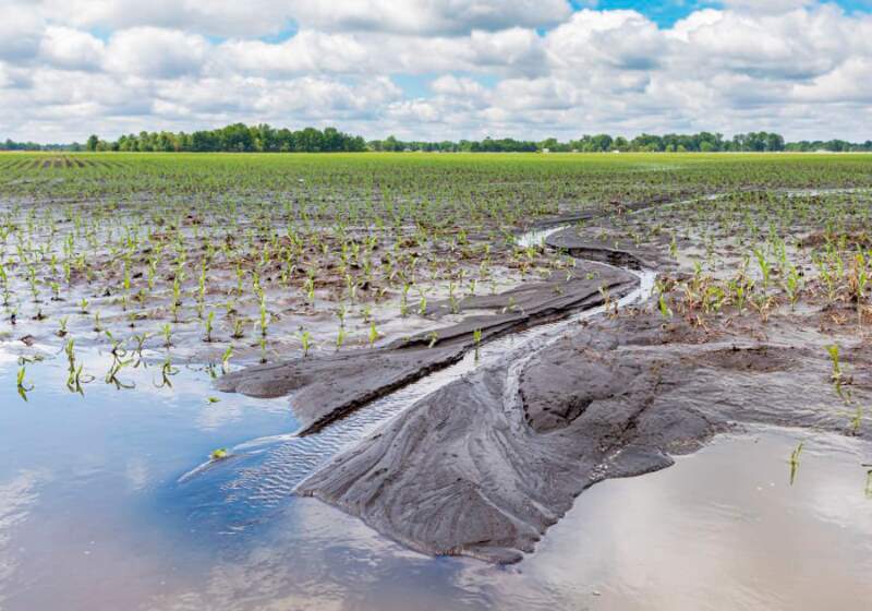 La medida alcanza a 19 distritos bonaerenses con más del 50% de afectación productiva y contempla prórrogas crediticias.