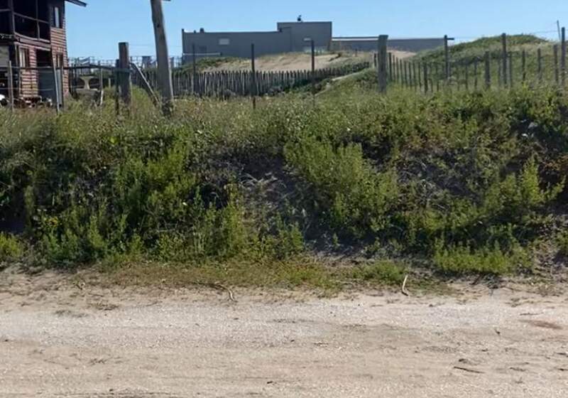 Asi lo explicó la concejal Gabriela Bértora.