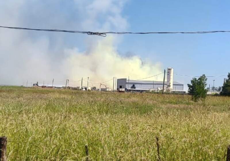  El operativo se extendió durante horas en el predio a cielo abierto y las autoridades investigan el origen del fuego.