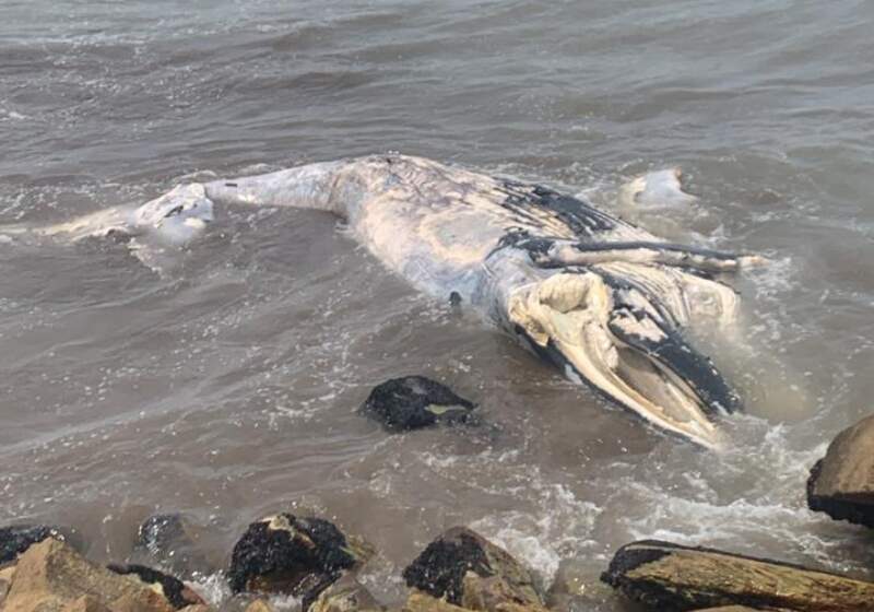 Ocurrió pasado el mediodía de este martes. Defensa Civil interviene en la zona.