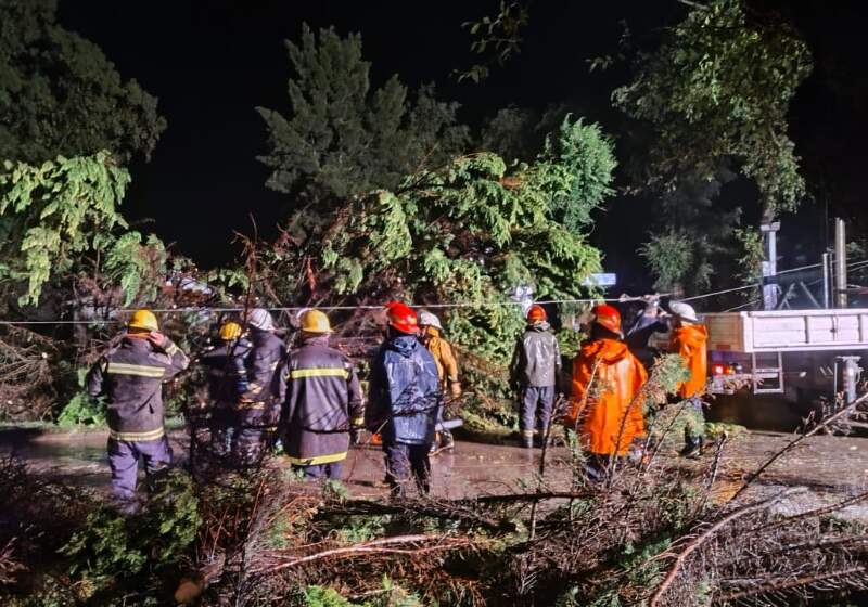 Defensa Civil, Bomberos y la Cooperativa Arbolito trabajaron en un operativo especial tras los daños registrados durante la tormenta.