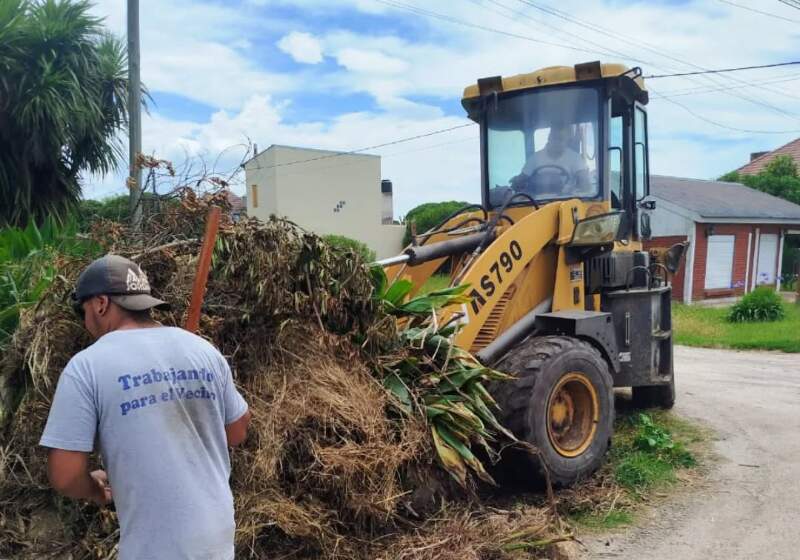 La Delegación a cargo de Matías Jara informó trabajos de limpieza y recambio de luminarias en Santa Elena, Frente Mar y Playa Dorada.