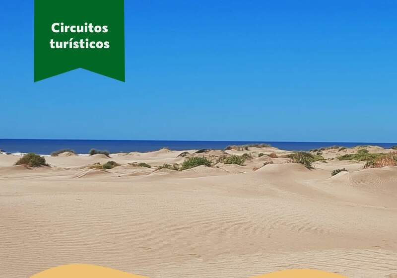  La Secretaría a cargo de Edgardo Veble difundió las propuestas que incluyen senderos naturales y la Escuela Sustentable.