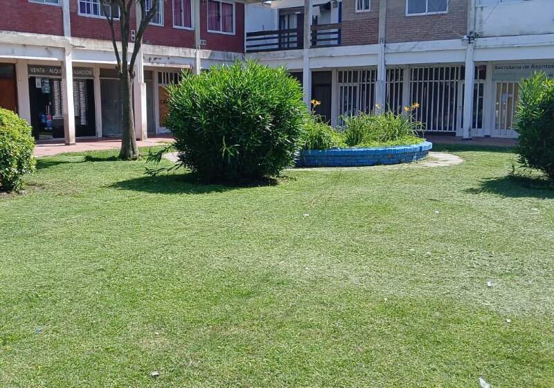 La Delegación a cargo de Fabián Jacquet informó que se reforzaron los trabajos de desmalezado, corte de pasto y puesta en valor en distintos sectores de la ciudad.