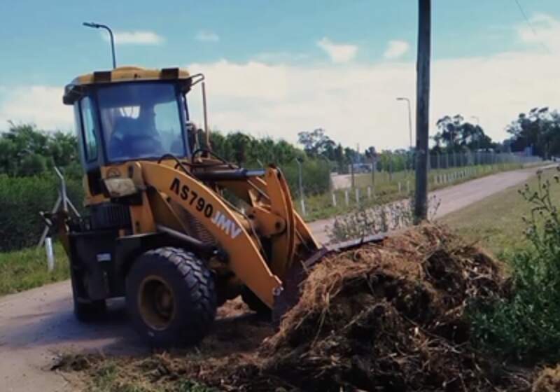 Se trata de trabajos de limpieza, recolección y recambio de luminarias llevados adelante por personal de la dependencia a cargo de Matías Jara.