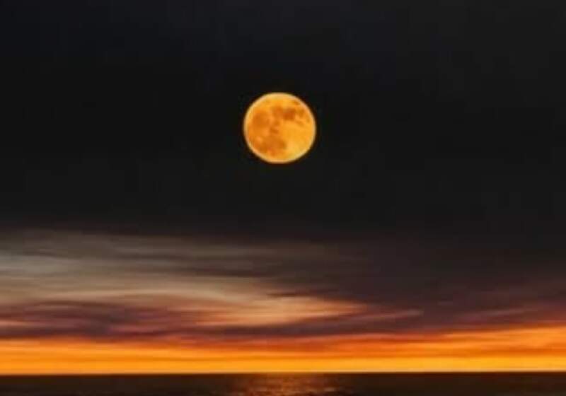 Será el domingo 1 de febrero a las 20, con un recorrido gratuito por el circuito natural de la albufera para observar el fenómeno.