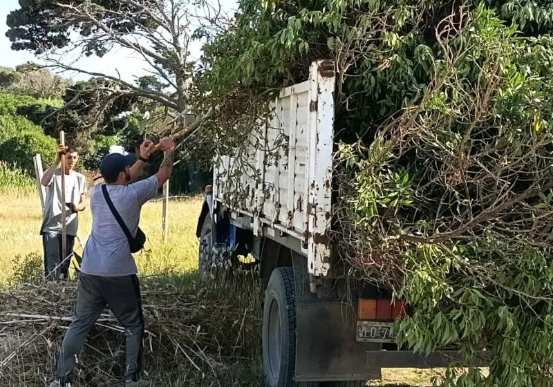 Personal de la Delegación Costa Sur efectuó trabajos en espacios públicos, baldíos y veredas del barrio.