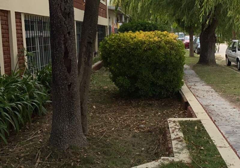 Las cuadrillas intervinieron durante la semana para preparar los edificios para el inicio del ciclo lectivo.