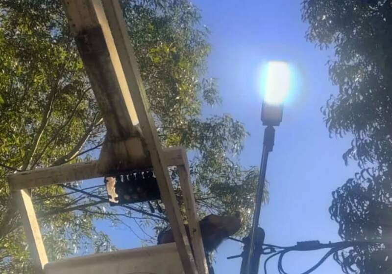 Desde la Delegación Costa Sur informaron trabajos de corte de césped y recambio de luminarias por tecnología LED.