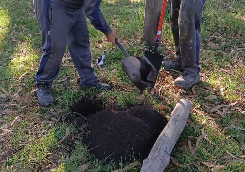 La Delegación Santa Clara, a cargo de Fabián Jacquet, ejecutó trabajos de corte, poda, reparación de juegos e iluminación