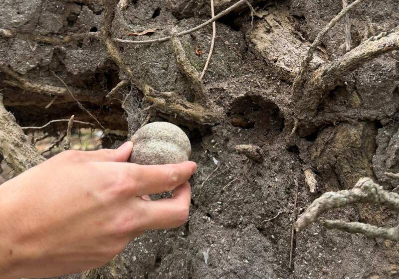La pieza, utilizada por los pueblos originarios de la región para la caza, fue encontrada por el biólogo Franco Bogel durante una recorrida de investigación.