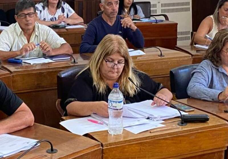 El apoderado partidario solicitó que se aparte a la concejal, la cual respondió que su lugar se lo otorgó "el voto" de los vecinos. El Concejo Deliberante, desestimó el pedido. 