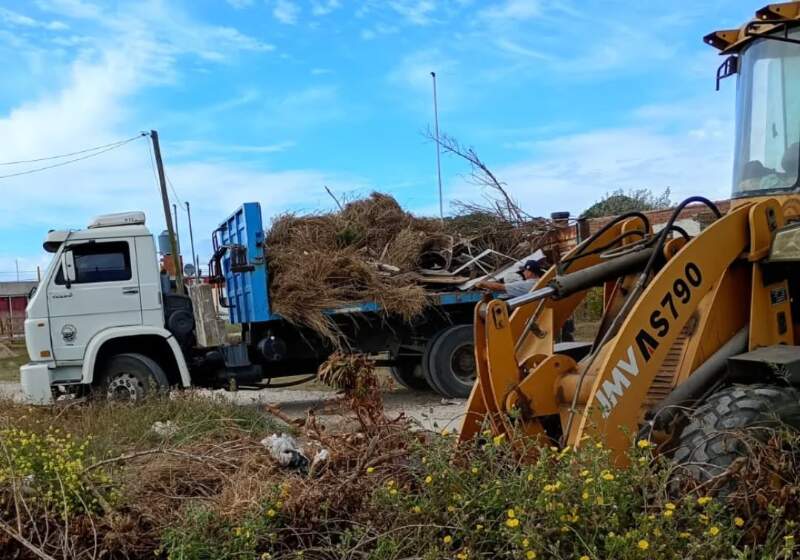 La Delegación Costa Sur informó trabajos de corte de césped, recolección de restos de poda y acondicionamiento en la zona.