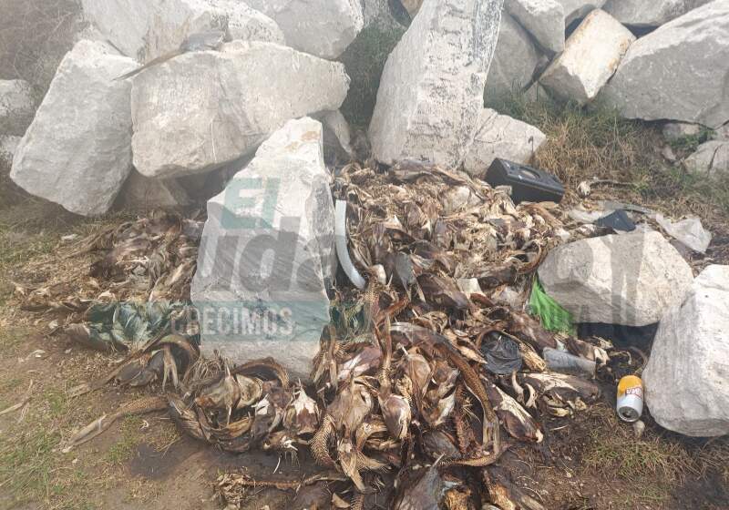 Vecinos alertaron olores nauseabundos y residuos a la vera de la bicisenda a la altura de Playa Dorada.